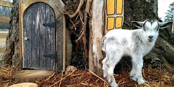 Farm Spring Fest with Goats!