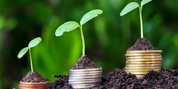 Finance in Africa: Banks, debt, and development