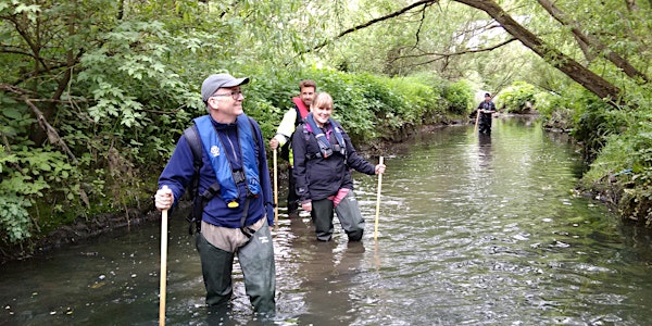 Lower Lea & tributaries Outfall Safari