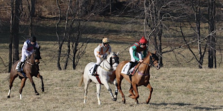 Rappahannock Hunt Point-to-Point Race