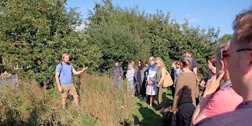 Introduction to Summer Foraging - Foraging Workshop and Walk in Levenshulme