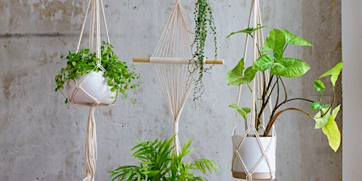 Primaire afbeelding van Craft Social: Macramé Plant Hanging