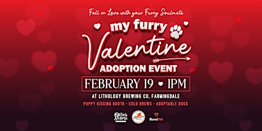 My Furry Valentine Free Adoption Event