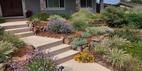 Imagen principal de 2024 CCWD Lawn to Garden Rebate Program Overview and Q&A