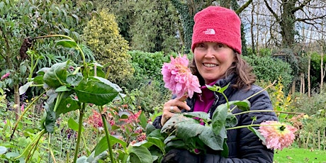 Plant Workshop with Rosie Maye primary image