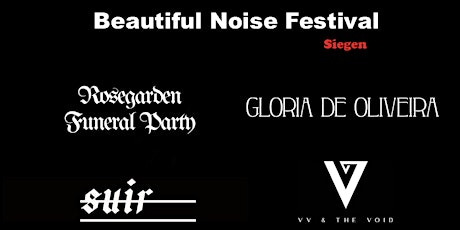 Beautiful Noise Festival Siegen VI