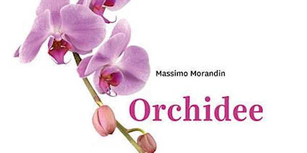 Massimo Morandin racconta le orchidee