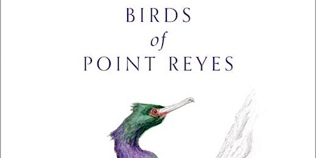 Keith Hansen - Birds of Point Reyes