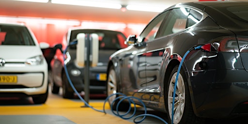 Attribute-based Subsidies and Market Power for Electric Vehicles
