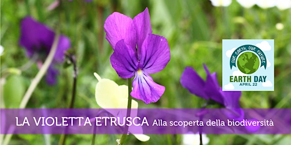 LA VIOLETTA ETRUSCA - Alla scoperta della biodiversità