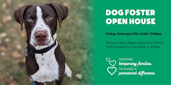 Dog Foster Open House