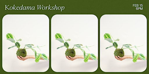 Kokedama Moss Ball Workshop with Just Plants