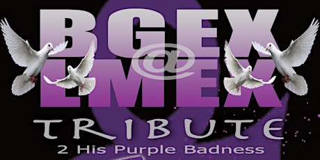 BGEX Prince Tribute primary image