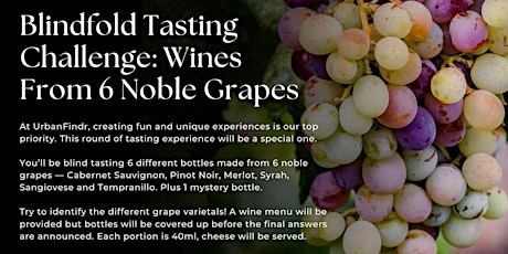 Blindfold Tasting Challenge: Wines From 6 Noble Grapes for $45