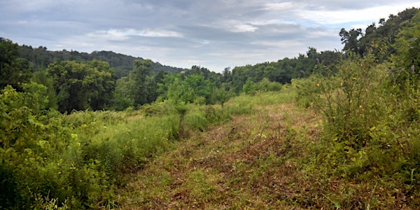 Wilton Meadows Hike - Riverlands Trail Fest ~ Lancaster Water Week