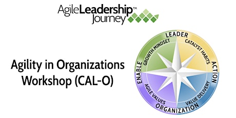 Online Agility in Organizations Workshop (CAL-0) February 27-March 3, 2023 primary image