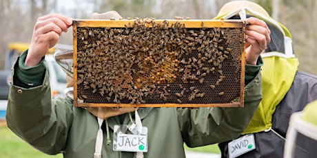 2023 IN-PERSON  Introductory Beekeeping Course #1