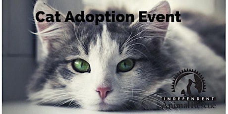 Dog and Cat Adoption Event with Independent Animal Rescue