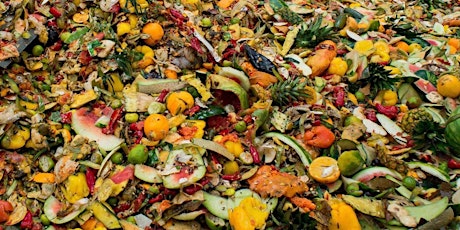 Feb. 9: Why is a third of food wasted worldwide?