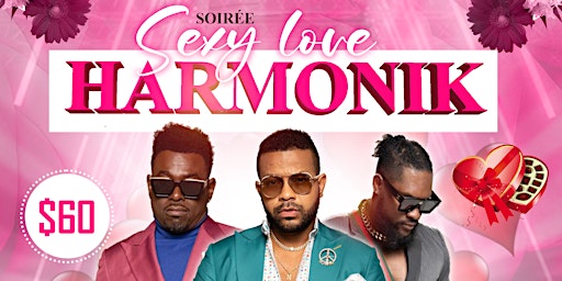 Soirée Dansante ' Sexy Love Harmonik '