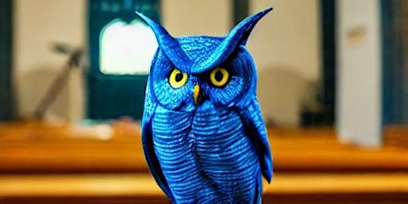 Blue Owl: Young Person Open Mic