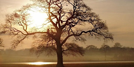 Image principale de Poynton Park Tree Wander