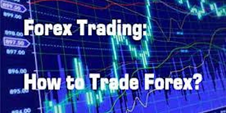 Brilliant for beginners in Forex Trading primary image