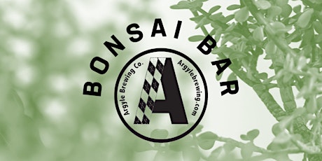 Bonsai Bar @ Argyle Brewing Company