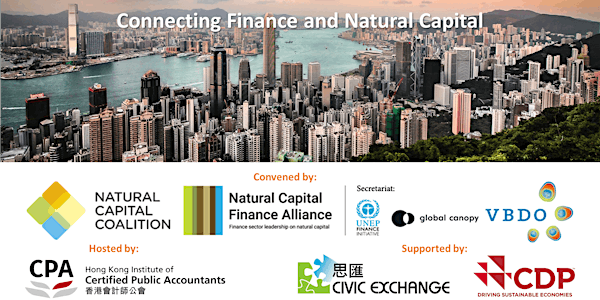 Connecting Finance and Natural Capital