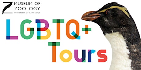 LGBTQ+ Bridging Binaries Guided Tour