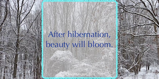 Mindfulness Workshop Online | Beauty after Hibernation