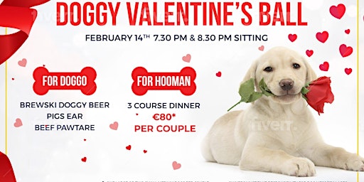 Doyles Corner Annual  Doggy Valentines Ball