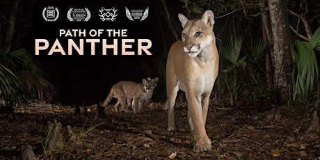 Path of the Panther, Educational Film Screening + Panel at FIU