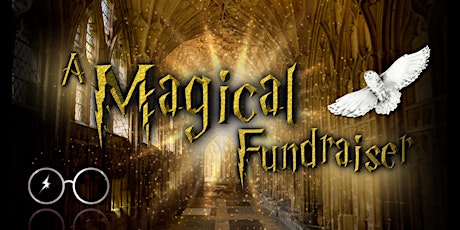 A Magical Fundraiser - Yule Ball (18+)