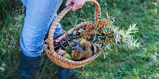 Bring Wild Food to your Table