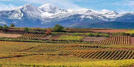 Wine Club – Great Wines of Argentina