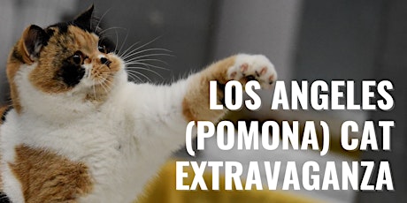 Los Angeles (Pomona) Cat Extravaganza by LCWW Group