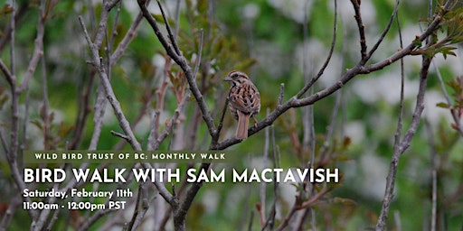 Bird Walk with Sam Mactavish