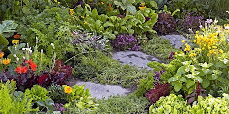 Landscaping with Edible Plants