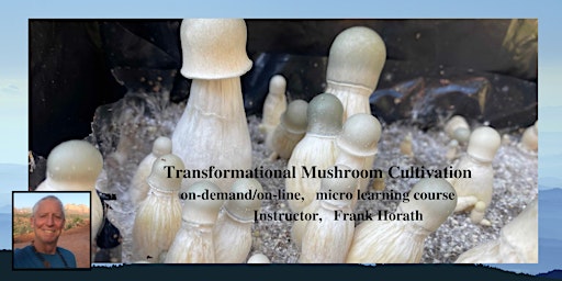 Transformational Mushroom Cultivation (on-demand, online/anytime)