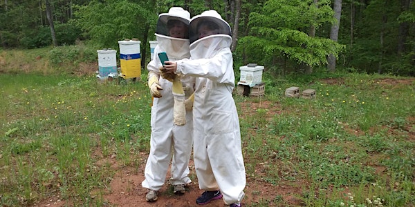 Buzzing Beekeepers