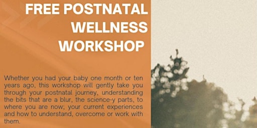 Postnatal Wellness Workshop