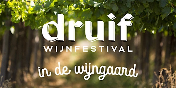 Druif Wijnfestival in de Wijngaard (Hilversum - Wijdemeren)