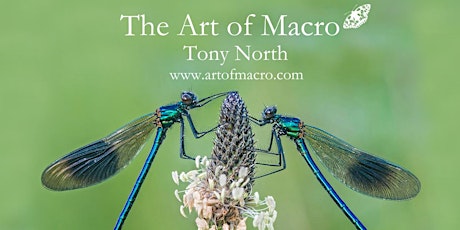 PHOTOGRAPHY TALK: The art of macro photography (REVISED) with Tony North