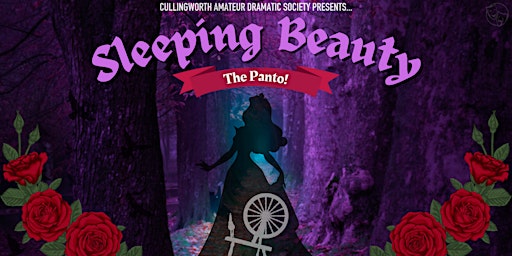 Sleeping Beauty! - Cullingworth Pantomime (Thursday)