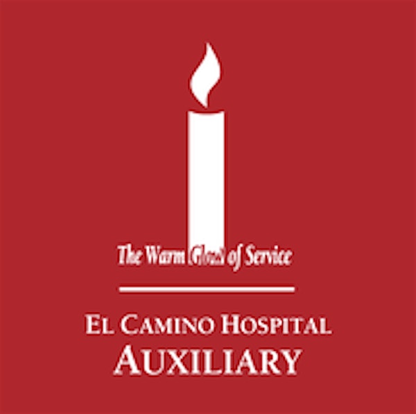 El Camino Hospital Mountain View: Junior Volunteer Application Seminar Spring 2014