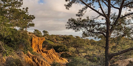 Rare Trees, Sacred Canyon: Torrey Pines...Opening Reception