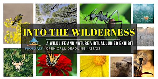 OPEN CALL DEADLINE: Into The Wilderness – Wildlife & Nature Virtual Exhibit