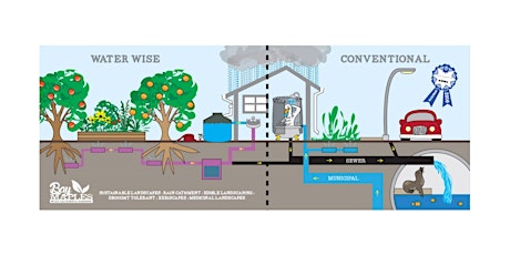 Greywater: Laundry to Landscape