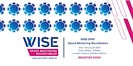 2023 WISE Within Speed Mentoring